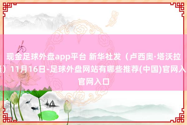 现金足球外盘app平台 新华社发（卢西奥·塔沃拉摄）11月16日-足球外盘网站有哪些推荐(中国)官网入口